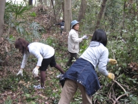 上野の森での整備作業